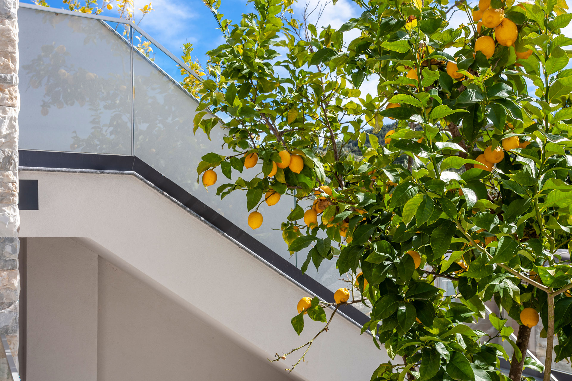 
Chalkidiki Apartments Olia Seaside Residence Double Deluxe Apartment 9125