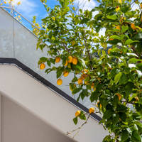 Chalkidiki Apartments Olia Seaside Residence Double Deluxe Apartment 9125