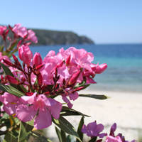 Chalkidiki Apartments Olia Seaside Residence Family Luxury Suite 7986