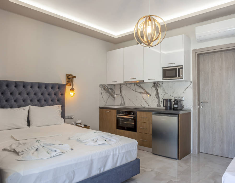 Triple Room Pool 1
