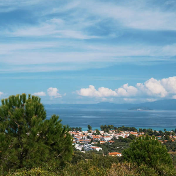 Chalkidiki Apartments Olia Seaside Residence Double Deluxe Apartment 4597