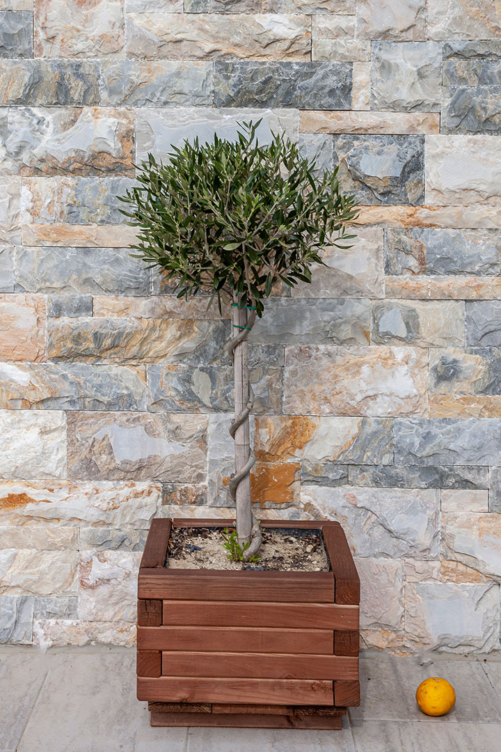 
Chalkidiki Apartments Olia Seaside Residence Double Deluxe Apartment 9197