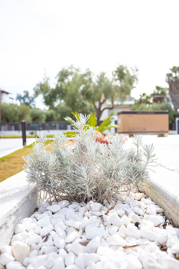 
Chalkidiki Apartments Olia Seaside Residence Double Deluxe Apartment 9269