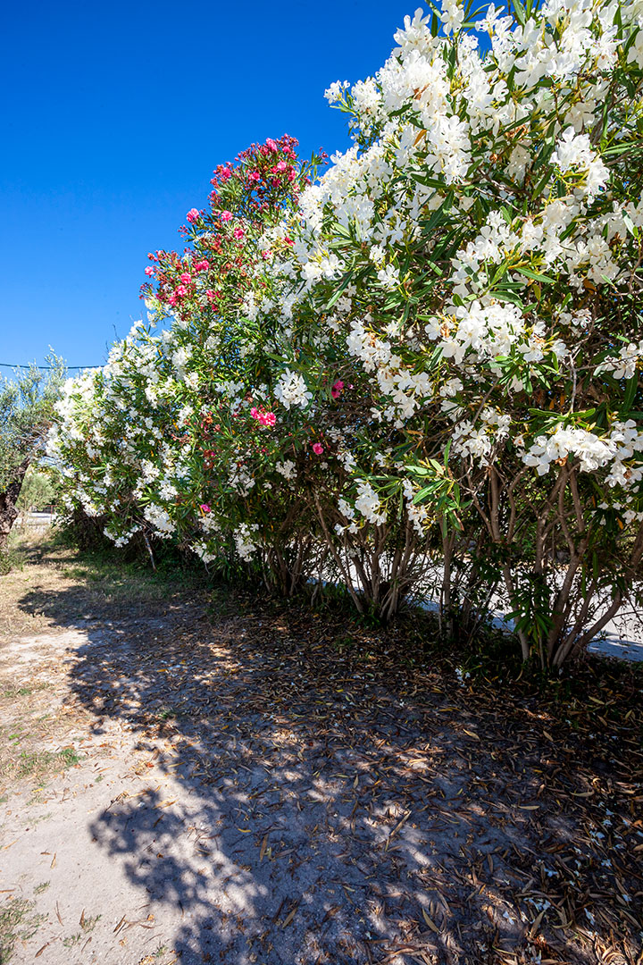 
Luxury home on the sea Kassandra